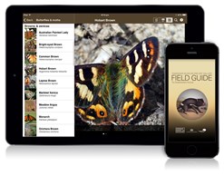 An iPhone and iPad showing the Field Guide to Tasmanian Fauna app on screen