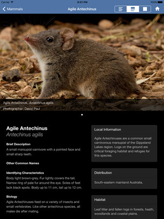 Screen shot from the wildlife app