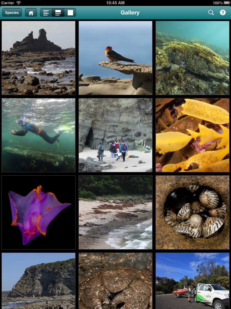 Bunurong Marine National Park Field Guide app - Museums Victoria