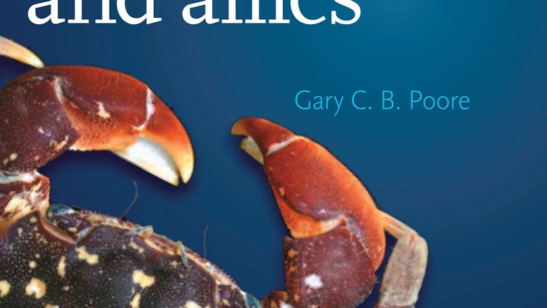 Cover of Museum Victoria field guide Crabs, Hermit Crabs and Allies