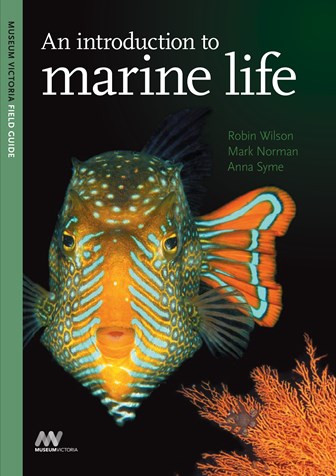 An Introduction to Marine Life Cover