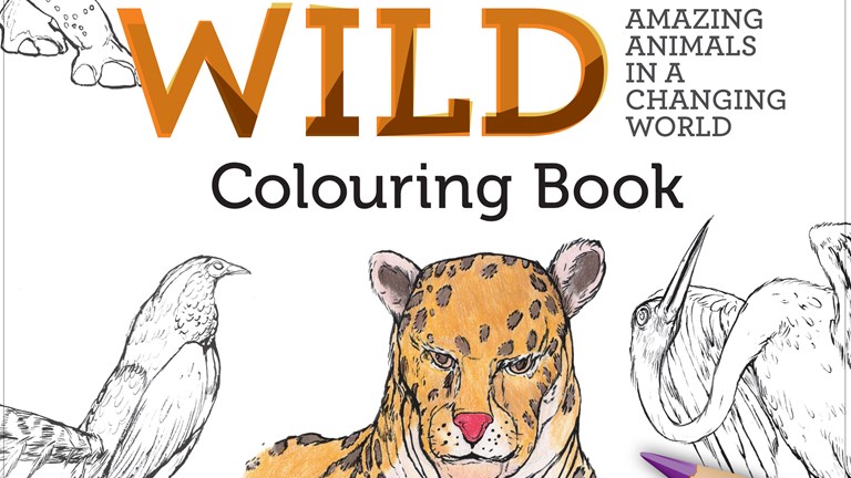 Cover of Wild Colouring Book
