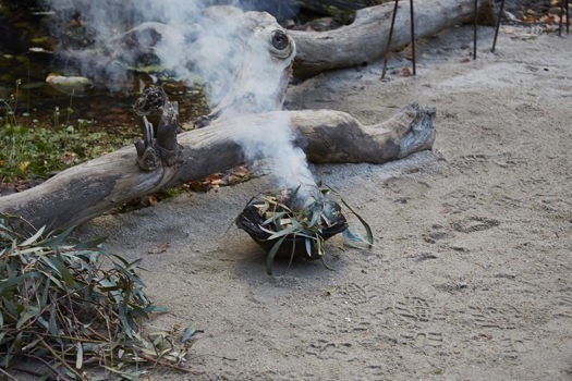 eucalyptus leaves burning in a small bowl