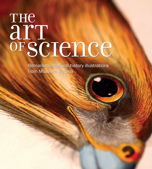 Cover of The Art of Science