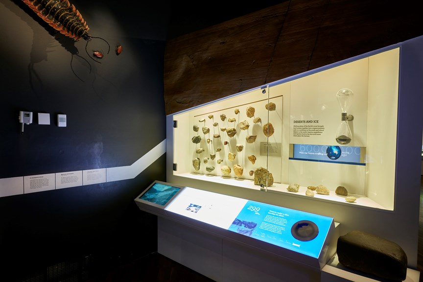 299 million years ago / 'Deserts and ice' section of 600 Million Years exhibition 