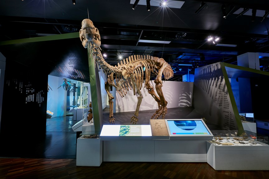 199 million years ago / 'Forests, dinosaurs and early birds' section of 600 Million Years exhibition 
