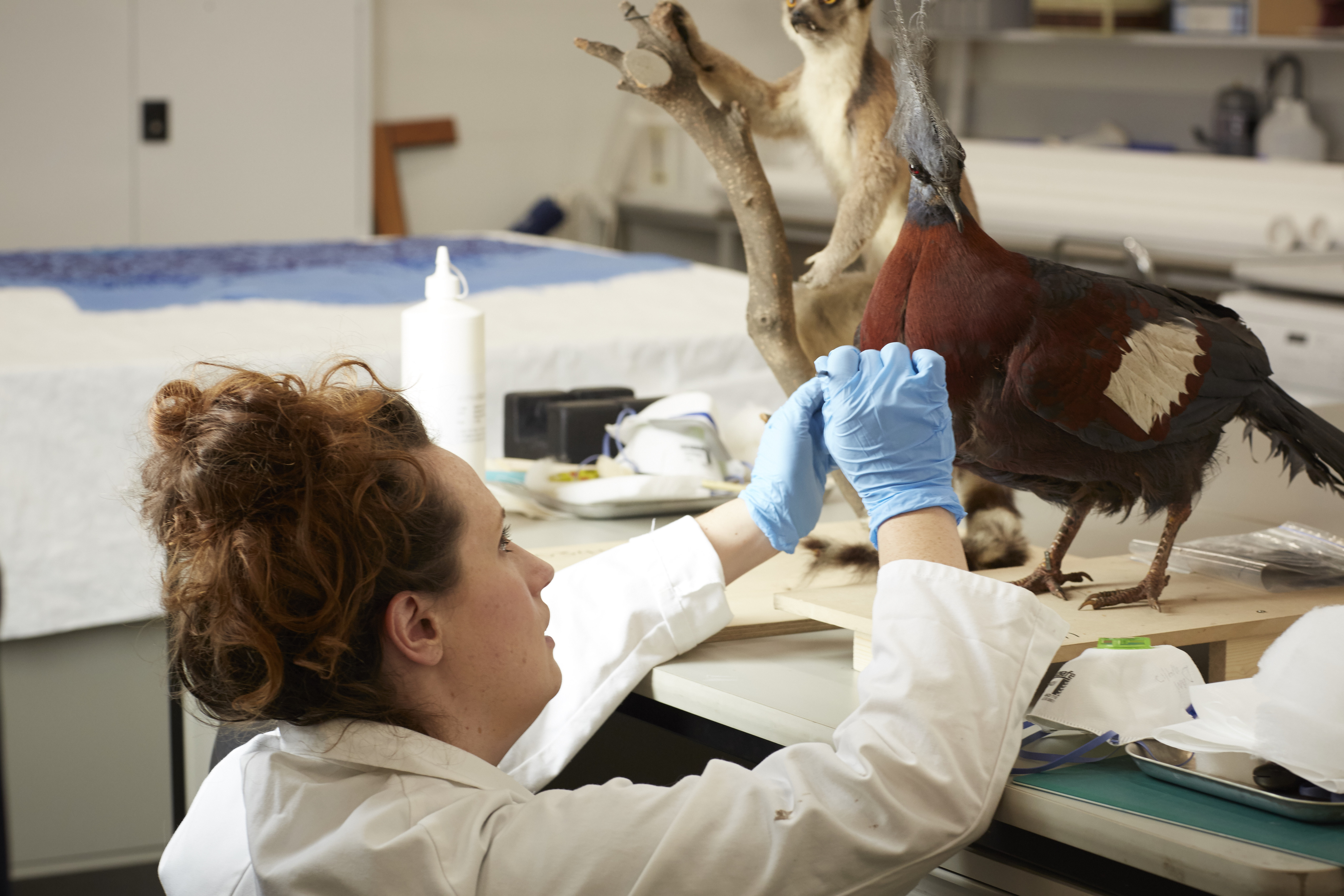 Careers Museums Victoria