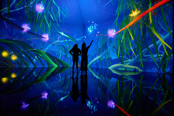 The shadow of two people standing in a room with the walls illuminated with tree tops