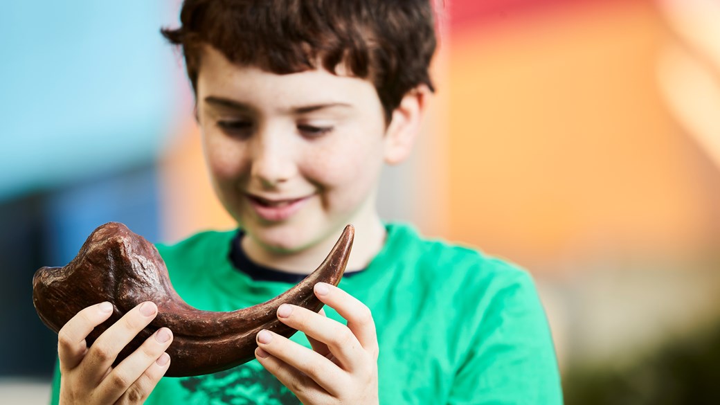 Young  boy holding a dinosaur fossil
