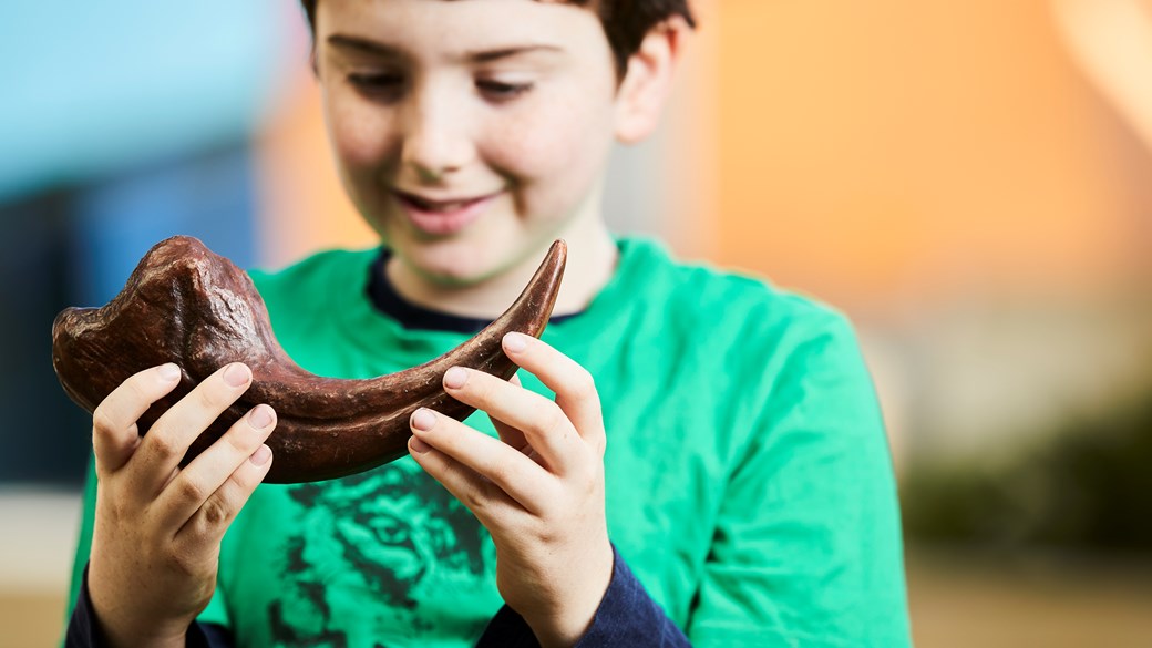 Young  boy holding a dinosaur fossil