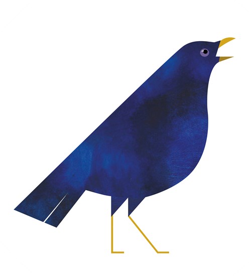 An illustration of a bowerbird