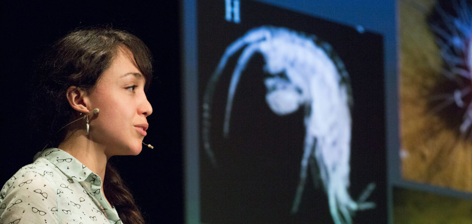 Lupita Bribiesca, Phd candidate, presenting a talk as part of the 'Meet the Scientists' program at Melbourne Museum Theatre.