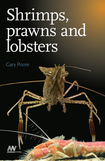 Shrimps, prawns and lobsters Cover