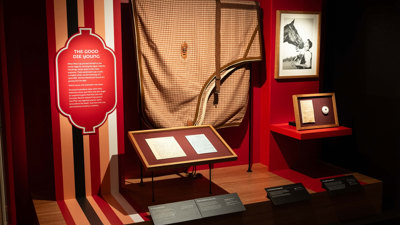 Displays showings Phar Lap artefacts including a saddle cover, letters and photos of the horse.