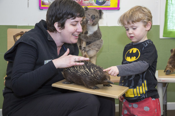 Woman and a boy looking at a stuffed echidna