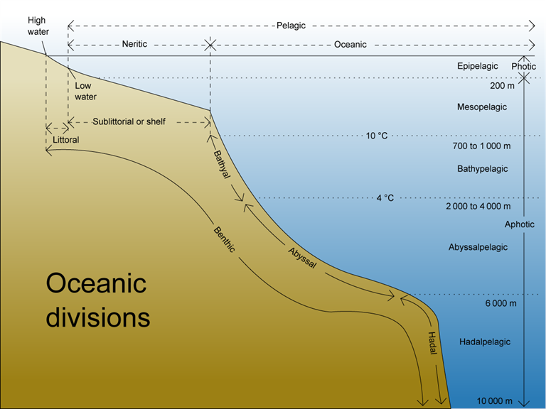 Diagram of the ocean