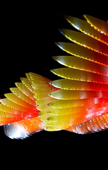 colourful wing sculpture