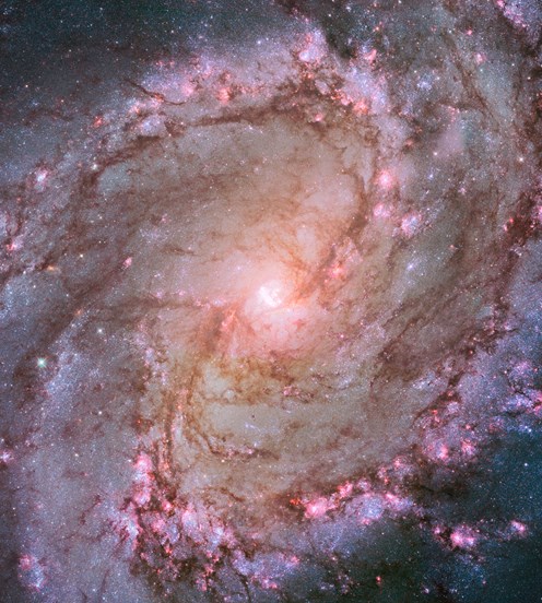 A hubble space telescope image of spiral galaxy M83