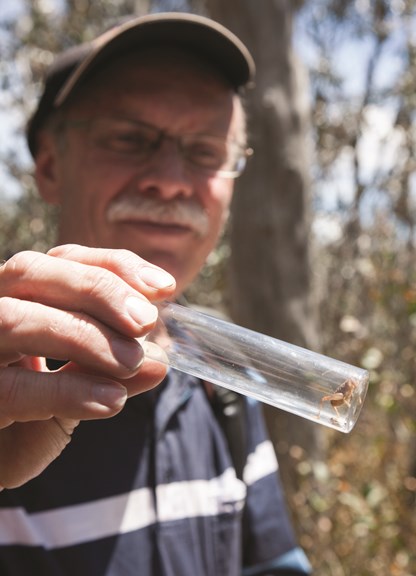 Man in holding a vial containing an insect