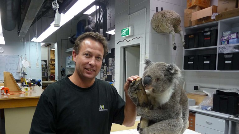 man with taxidermied koala