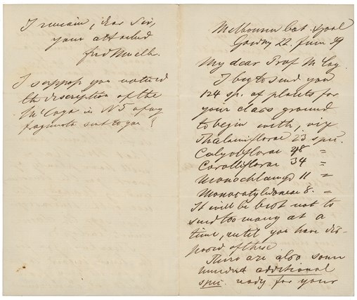 Letter from Baron Ferdinand von Mueller to Professor Sir Frederick McCoy, Victoria, 22 June 1859, page 1 and 4
