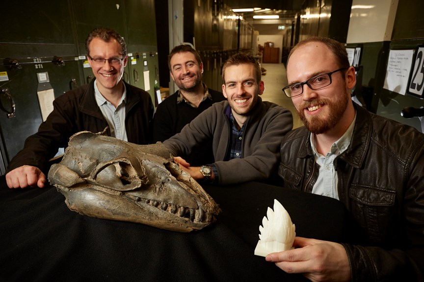 Four men with a fossil skull and tooth model