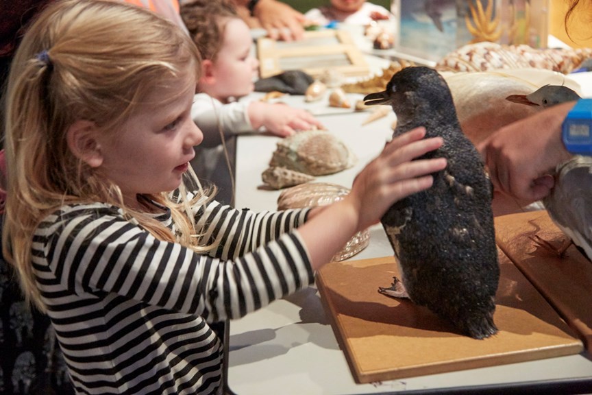 Girl looking at a stuffed penguin
