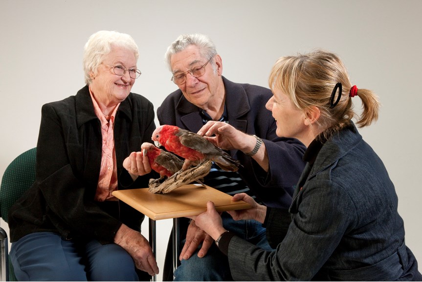 A woman showing stuffed birds to two elderly people