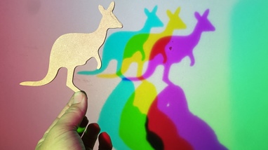 An opaque kangaroo cut-out is held in front of red, green, and blue lights to create red, green, blue, cyan, magenta and yellow shadows.  