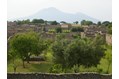 View over city looking towards Vesuvius, gardens in foreground