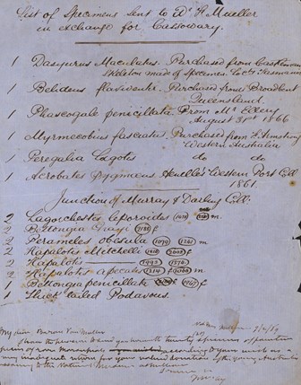 Handwritten list of scientific specimens with short letter at the bottom, black ink on blue paper
