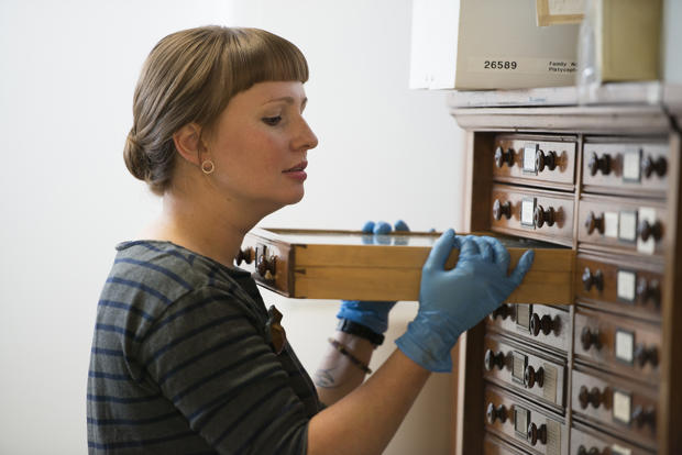 Collection manager Bentley Bird checking drawers with eggs during collection audit in Ornithology store.
