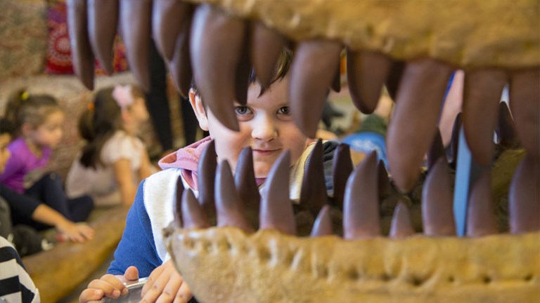 Child peers through a <em>Tarbosaurus</em> skull