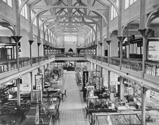 Interior of first National Museum of Victoria at Melbourne University.