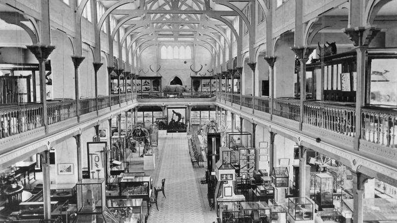 Interior of first National Museum of Victoria at Melbourne University.