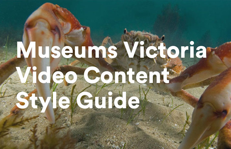 Video content style guide title over photo of crab showing claws underwater