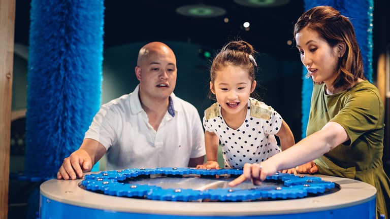 Child between a man and a woman using an exhibition interactive