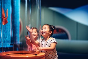 Two children using a butterfly interactive