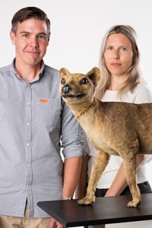 Dr Christy Hipsley from Museums Victoria and Associate Professor Pask from the University of Melbourne were part of a team of scientists who sequenced the Tasmanian tiger genome, sourced from these preserved thylacine pups.