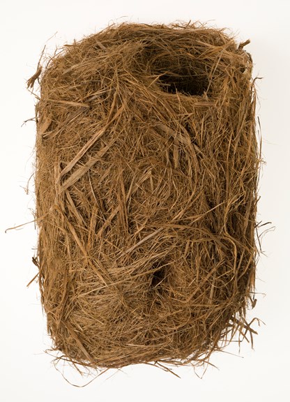 The nest of a Leadbeater's Possum made of various barks and fibres.