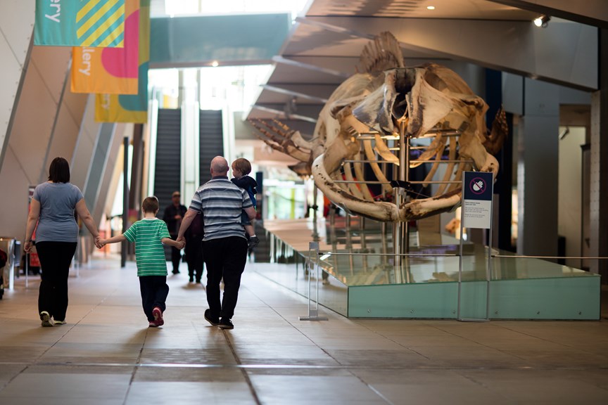 Family walking past the blue whale skeleton on their way to the Children's Gallery