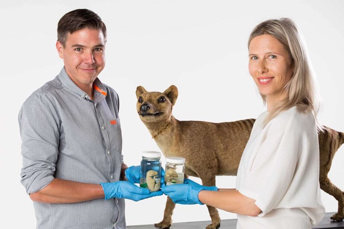 scientists with thylacine specimens