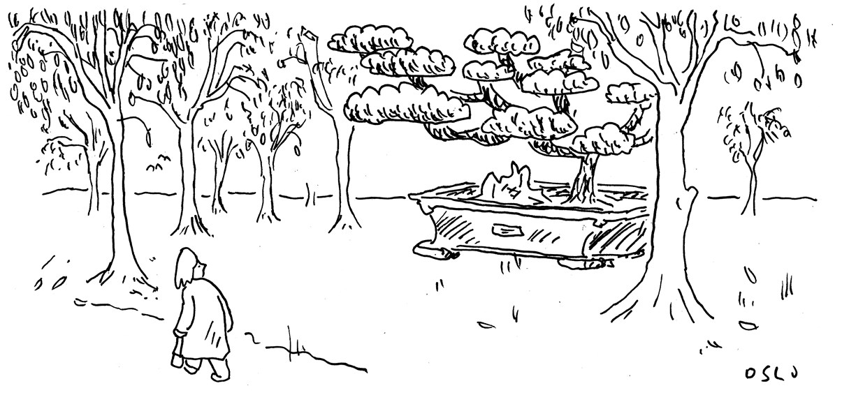 Cartoon, '1980s: multiculturalism takes effect', depicting a bonsai tree amongst other trees in a park