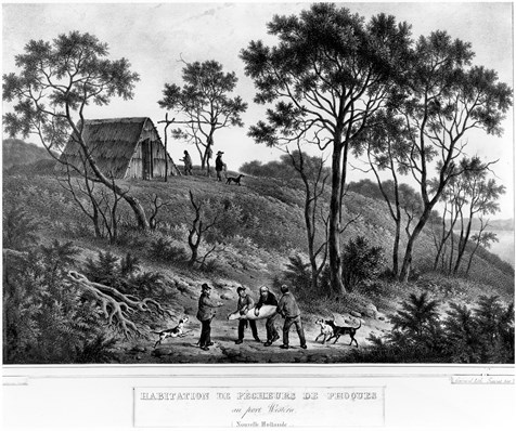 A group of men and some dogs in a rural setting near a body of water and a hut. Three of the men are carrying a seal.