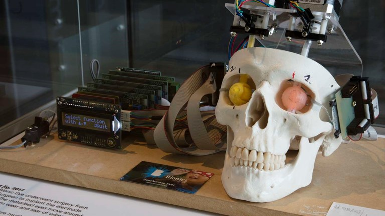 skull with testing equipment attached