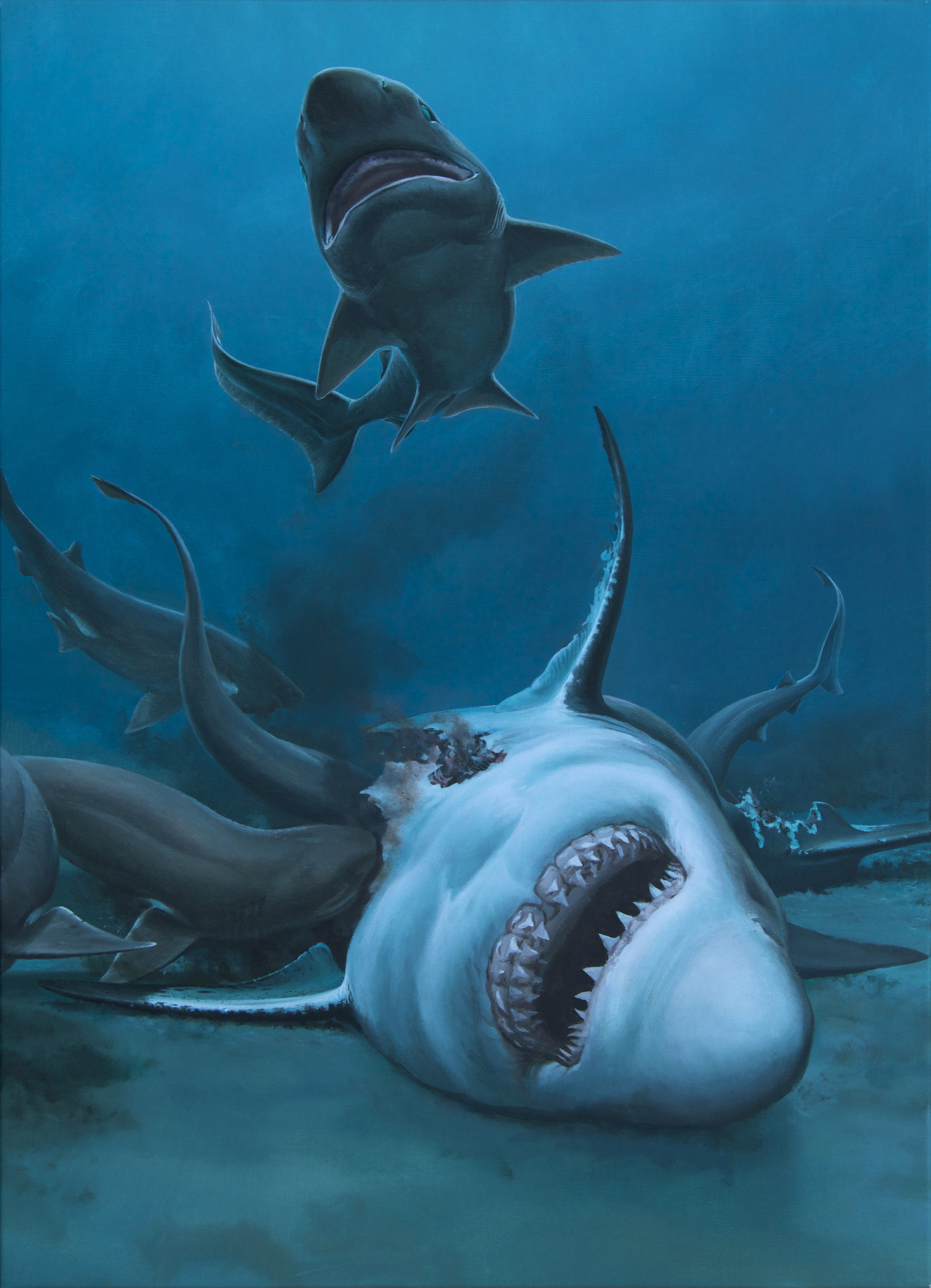 prehistoric sharks megalodon