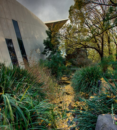 View of the Milarri Garden in Melbourne Museum