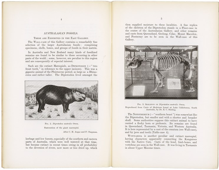 Reproduction of page 4 and 5 from the “Illustrated guide to the collection of fossils exhibited in the National Museum of Victoria” by Frederick Chapman, 1929