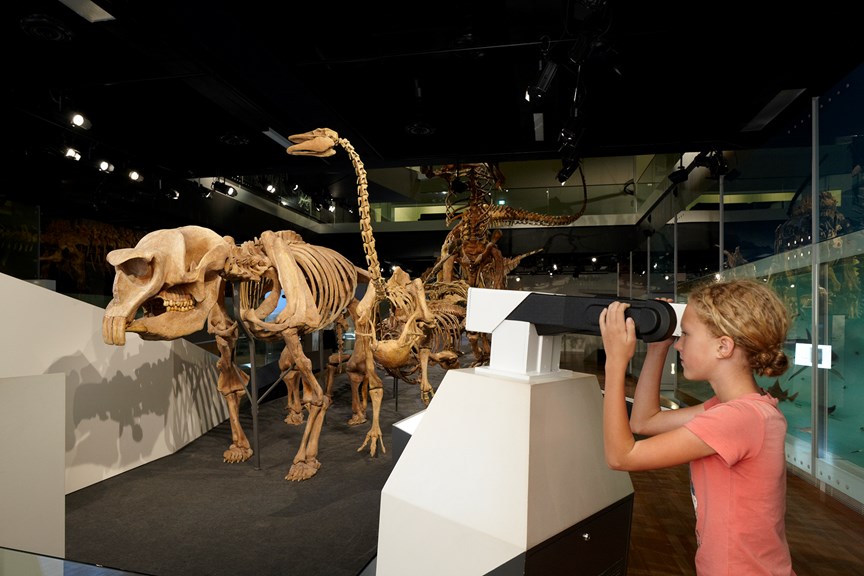 Visiting child using Dino-viewer to view Diprotodon cast from Lake Callabonna, 2010.