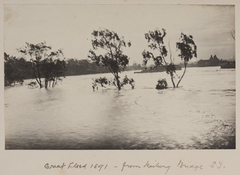 The Yarra River in flood. Looking up river from the South Yarra railway bridge. There are buildings in the distance.